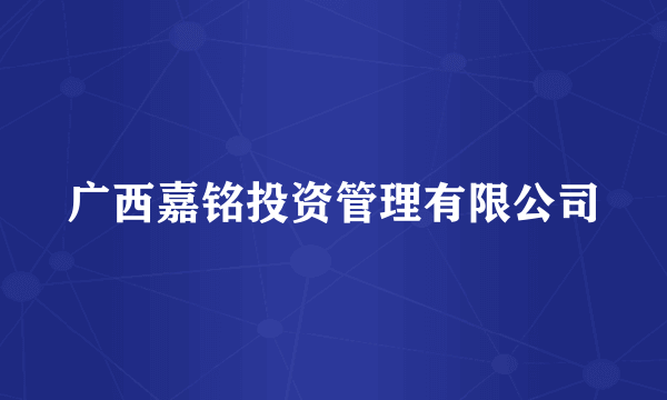 广西嘉铭投资管理有限公司