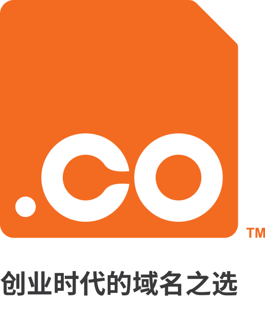 .co域名