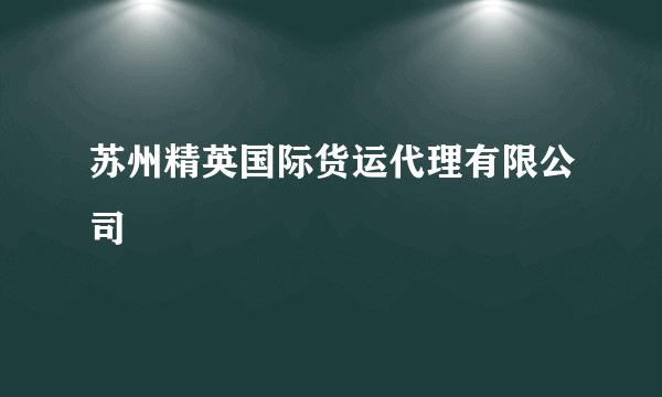 苏州精英国际货运代理有限公司