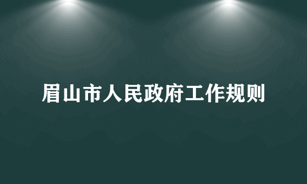眉山市人民政府工作规则