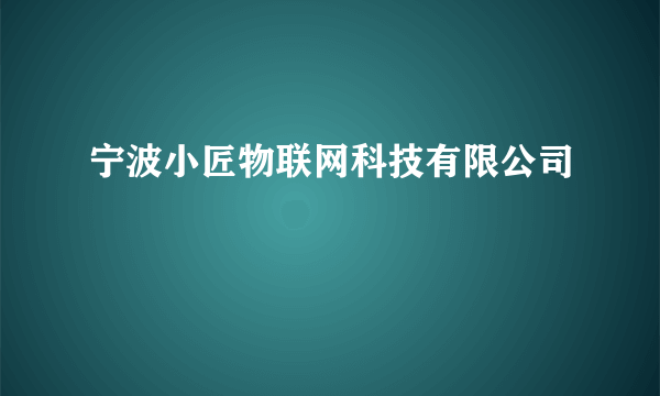 宁波小匠物联网科技有限公司