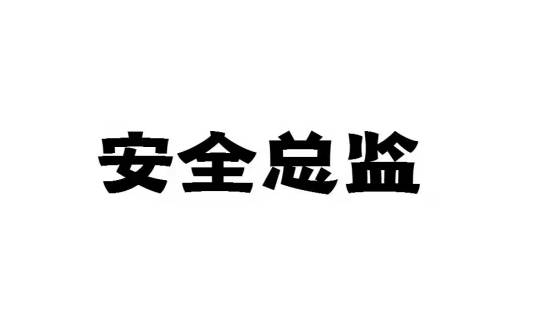 安全总监