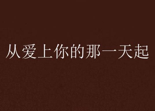从爱上你的那一天起