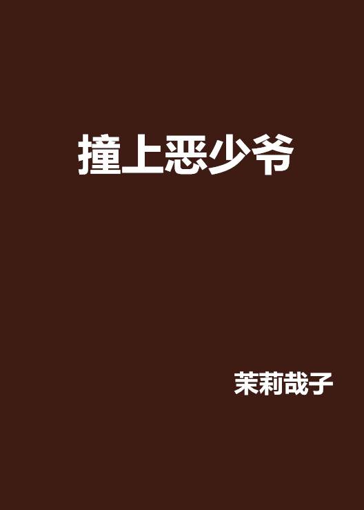撞上恶少爷