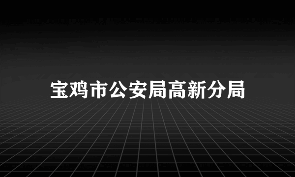 宝鸡市公安局高新分局