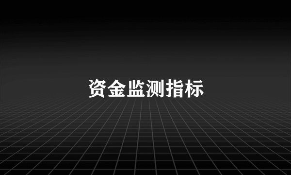资金监测指标