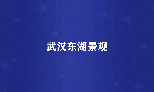 武汉东湖景观