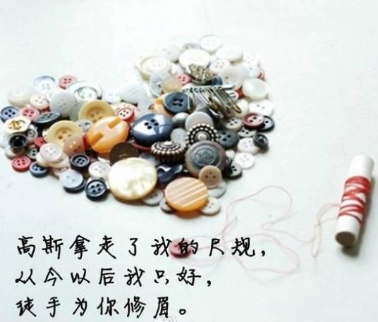 物理情诗