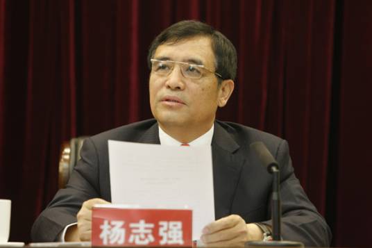 杨智强（智达立实业有限公司董事长）