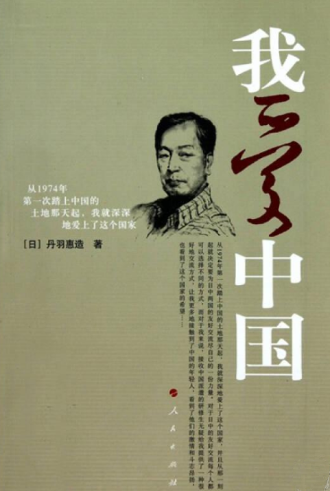 我爱中国（2010年人民出版社出版的图书）