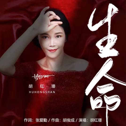 生命（张爱勤作词的歌曲）
