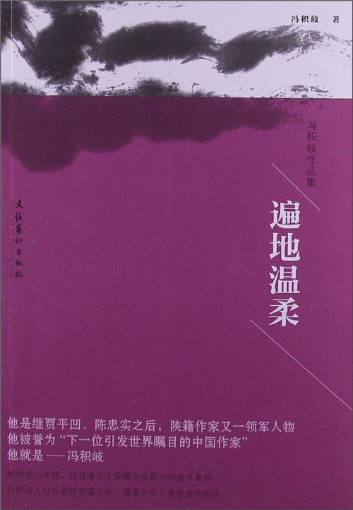 冯积岐作品集：遍地温柔