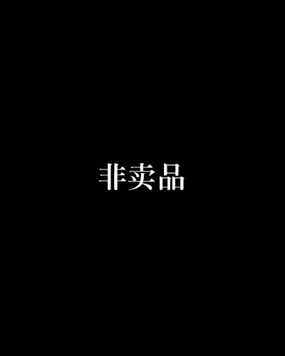 非卖品（网络小说）