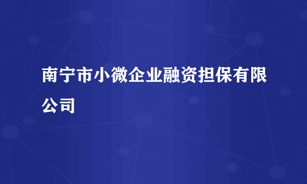南宁市小微企业融资担保有限公司