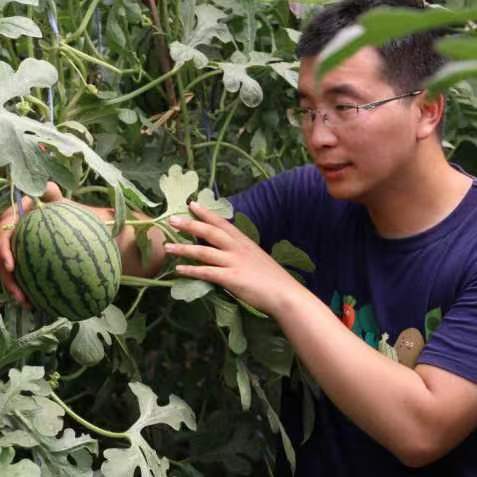 孔博（北京密农人家农业科技有限公司总经理）