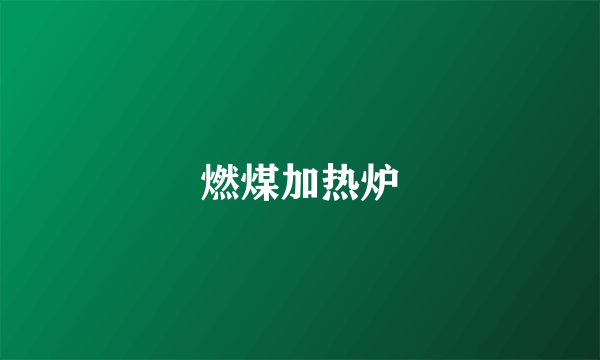 燃煤加热炉