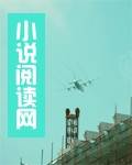 影评叶问2
