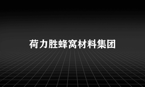 荷力胜蜂窝材料集团