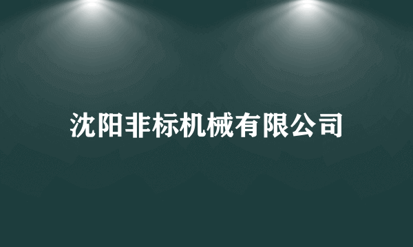 沈阳非标机械有限公司