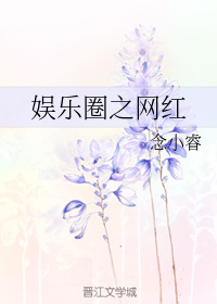 娱乐圈之网红