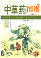 中草药图谱（二）