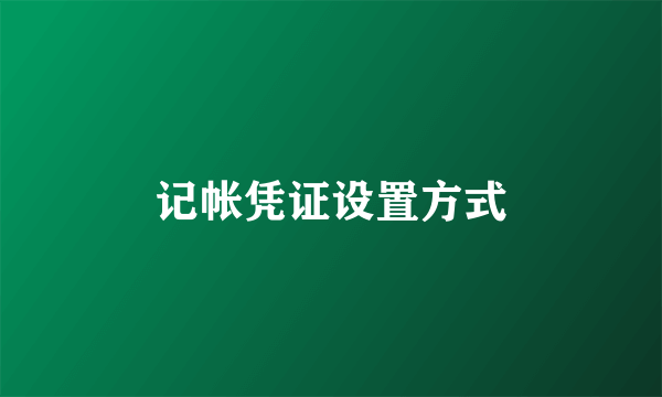 记帐凭证设置方式