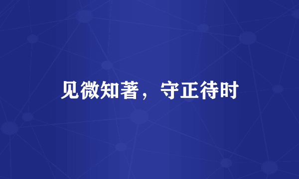 见微知著，守正待时