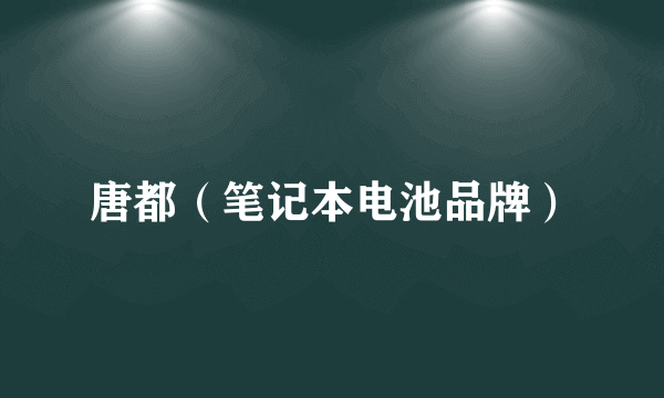 唐都（笔记本电池品牌）