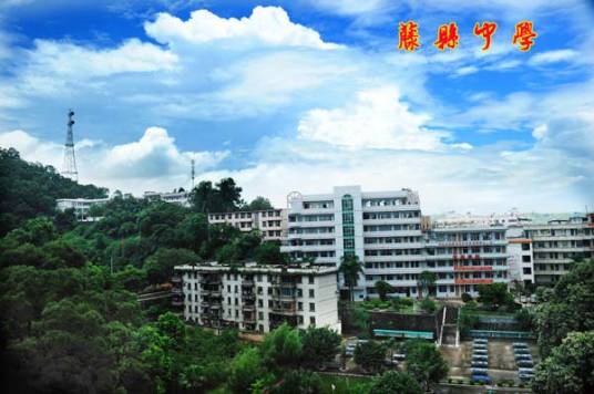 藤县中学论坛
