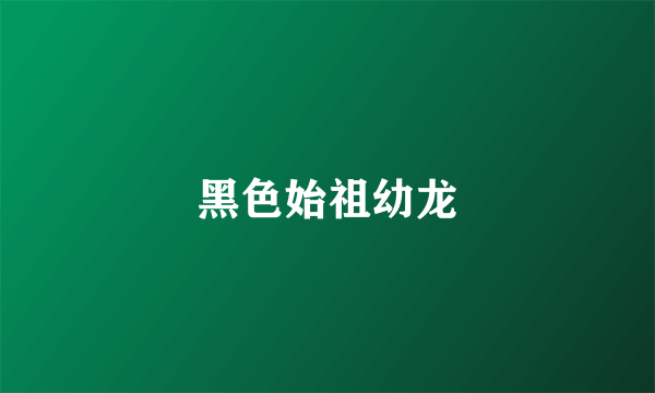 黑色始祖幼龙