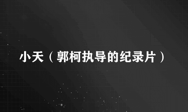 小天（郭柯执导的纪录片）