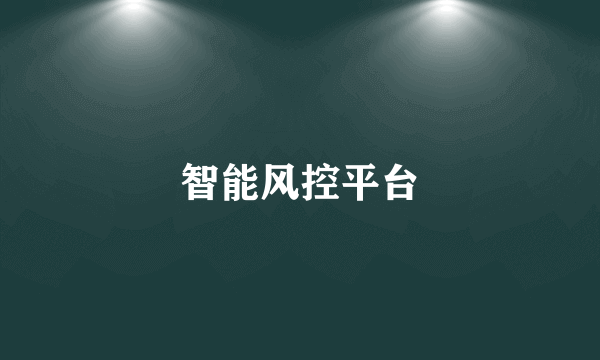 智能风控平台