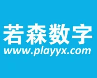 北京若森数字科技有限公司