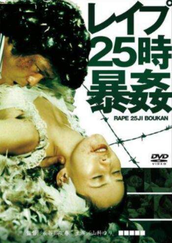 暴奸25点