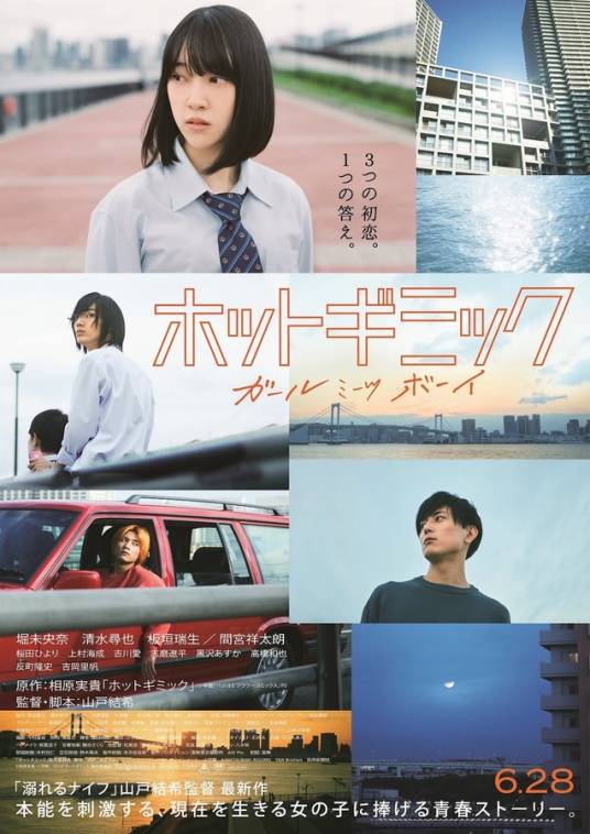 热情花招（日本2019年山户结希执导电影）