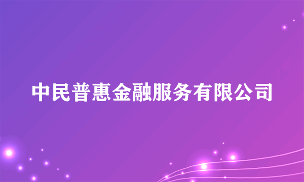 中民普惠金融服务有限公司