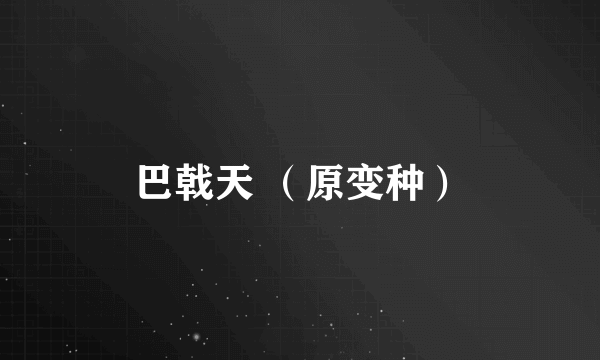 巴戟天 （原变种）