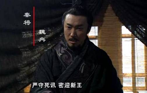 魏冉（电视剧《大秦帝国之纵横》中角色）