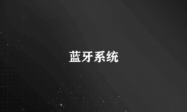蓝牙系统
