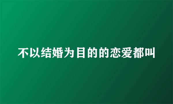 不以结婚为目的的恋爱都叫