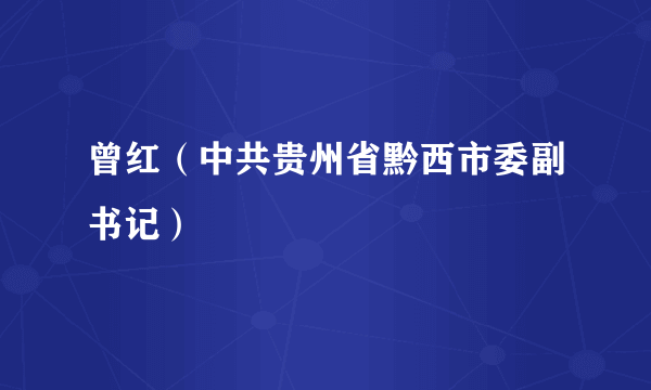 曾红（中共贵州省黔西市委副书记）