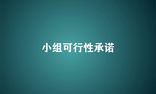 小组可行性承诺