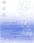 勿忘花