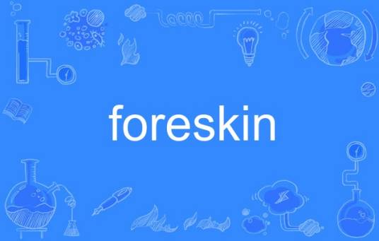 foreskin