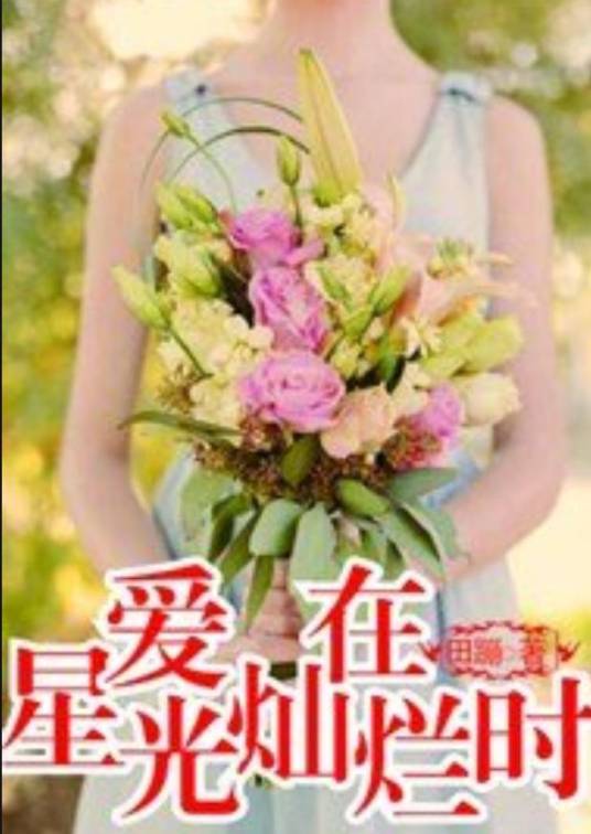 爱在星光灿烂时（田蹦所著小说）