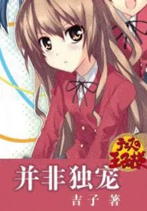 并非独宠「网王」
