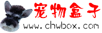 宠物盒子