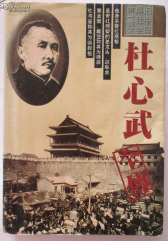 杜心武全传