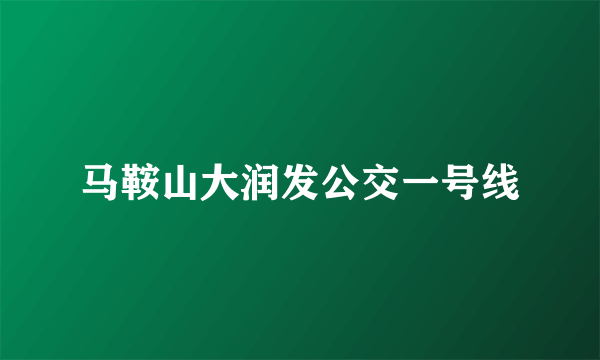 马鞍山大润发公交一号线