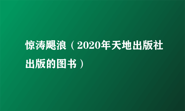 惊涛飓浪（2020年天地出版社出版的图书）